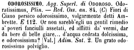 odorosissimo