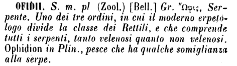 ofidii