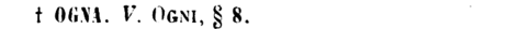 ogna-76486