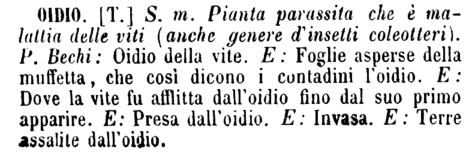 oidio
