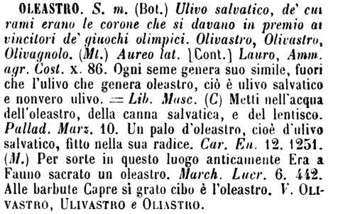 oleastro