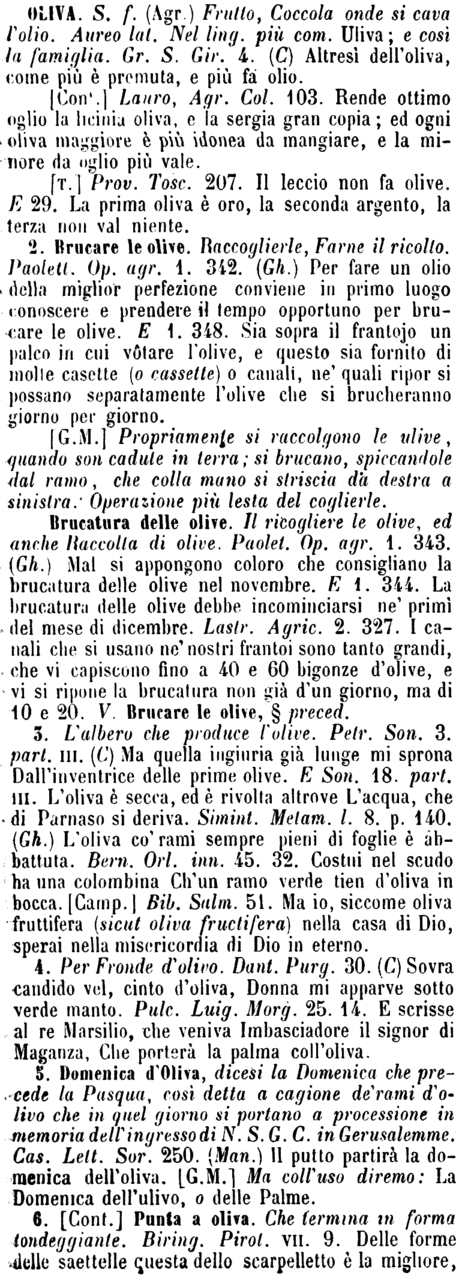 oliva