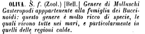oliva-76588