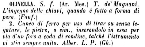 olivella-76595