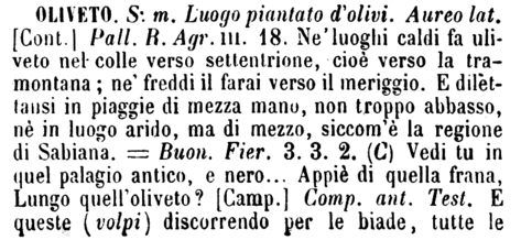 oliveto