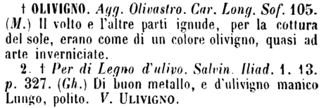 olivigno