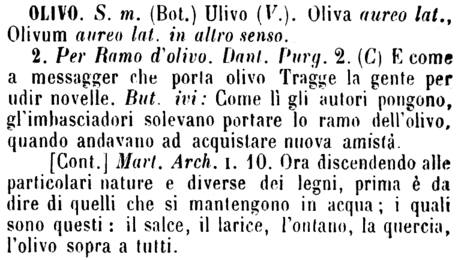 olivo