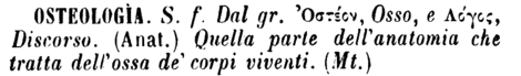 osteologia