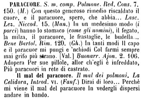 paracuore