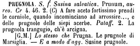 prugnola