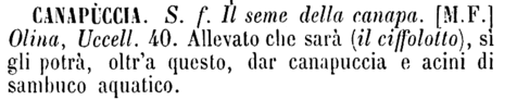 canapuccia