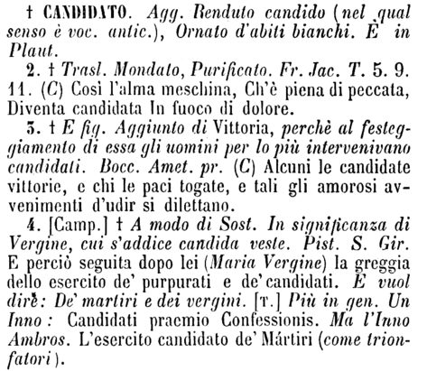 candidato